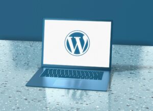 WordPress websites and hosting.